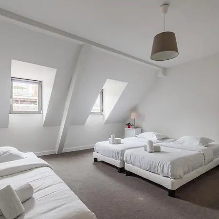 Apartament Le Nid De La Krutenau - Joli Duplex A La Krutenau